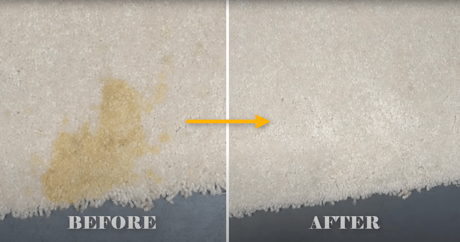 Cleaning Pet Urine Stains From Carpet